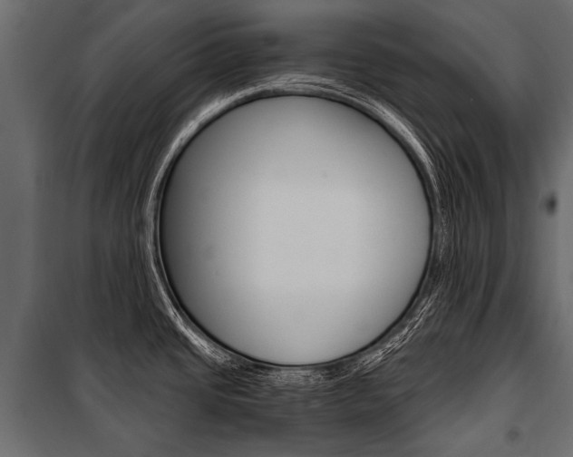 X0000100931437200806241127