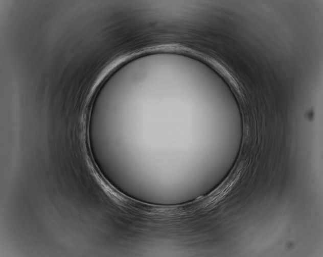 X0000100931438200806241127