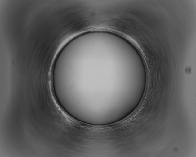 X0000100931440200806241127