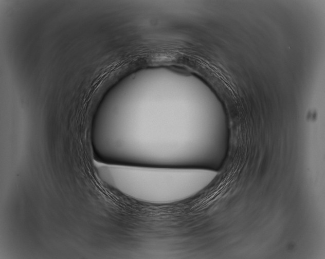 X0000100931441200806241126