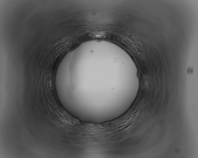 X0000100931442200806241126