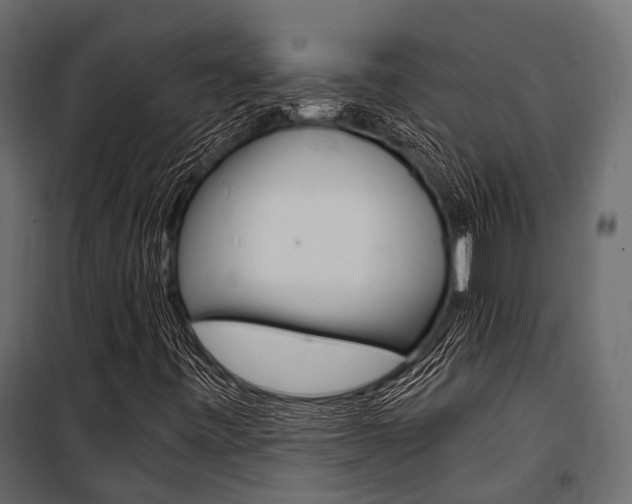 X0000100931443200806241126