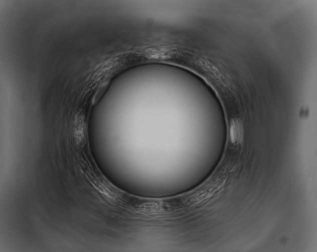 X0000100931444200806241126