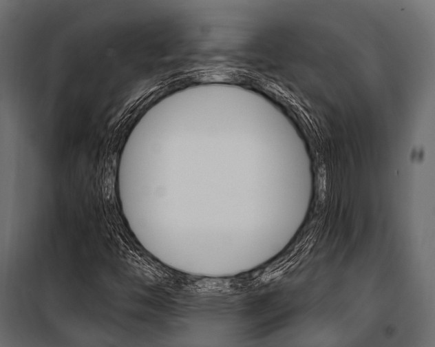 X0000100931446200806241126