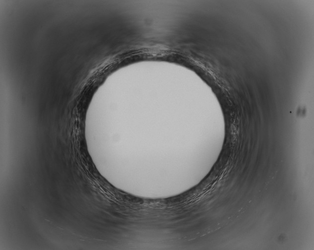 X0000100931447200806241126