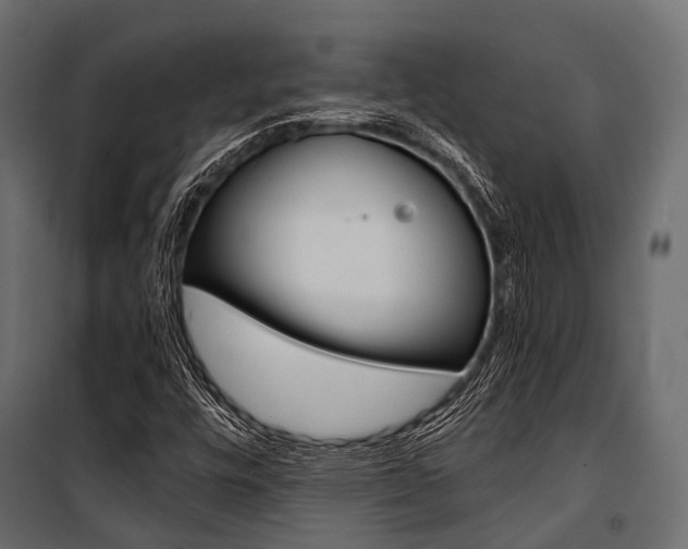 X0000100931448200806241126