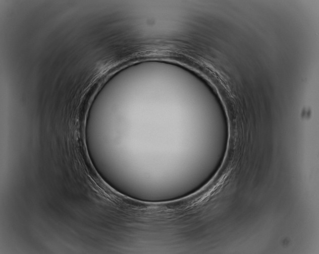 X0000100931449200806241126