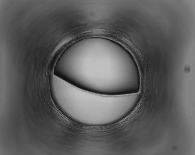 X0000100931450200806241126