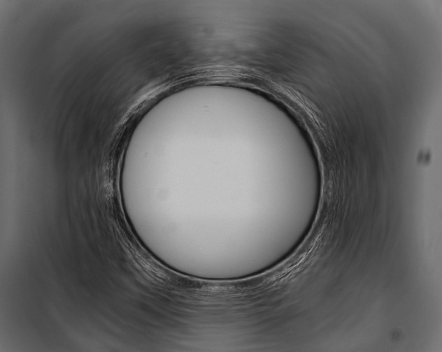 X0000100931451200806241126