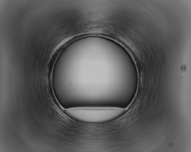 X0000100931452200806241126