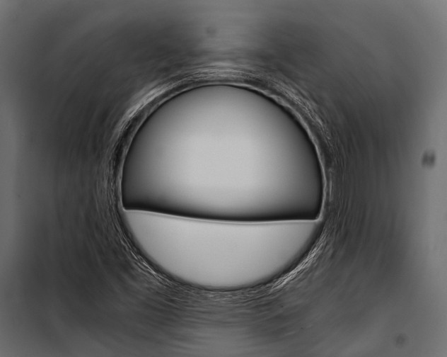 X0000100931453200806241126