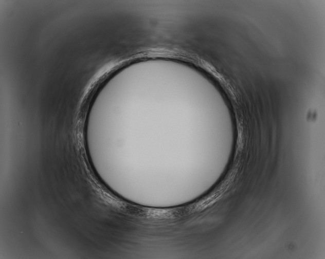 X0000100931454200806241126
