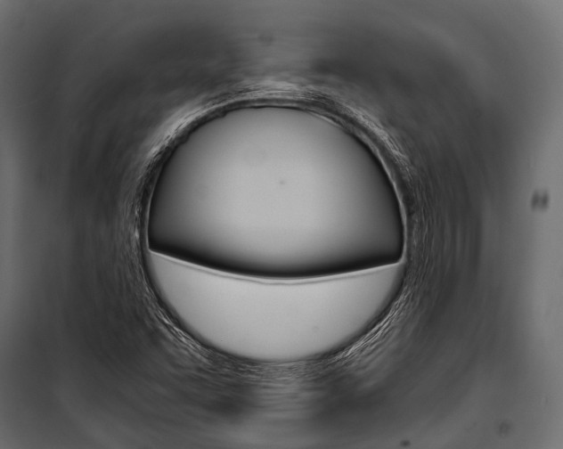 X0000100931455200806241126