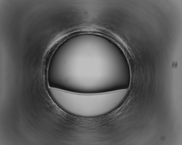 X0000100931456200806241126