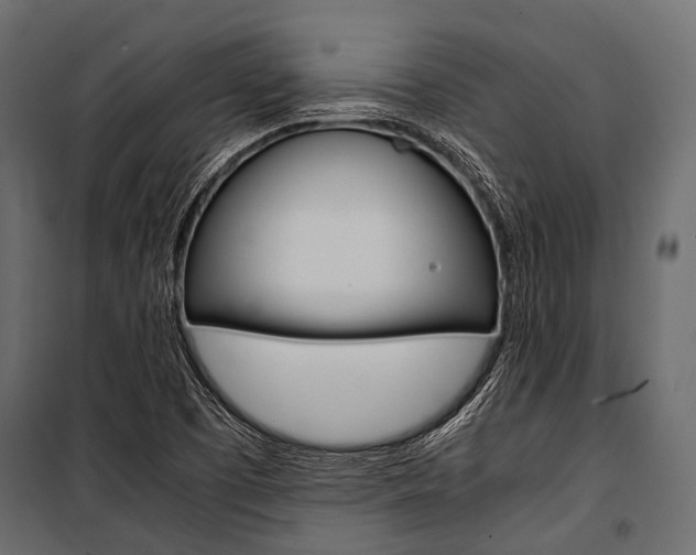 X0000100931457200806241126