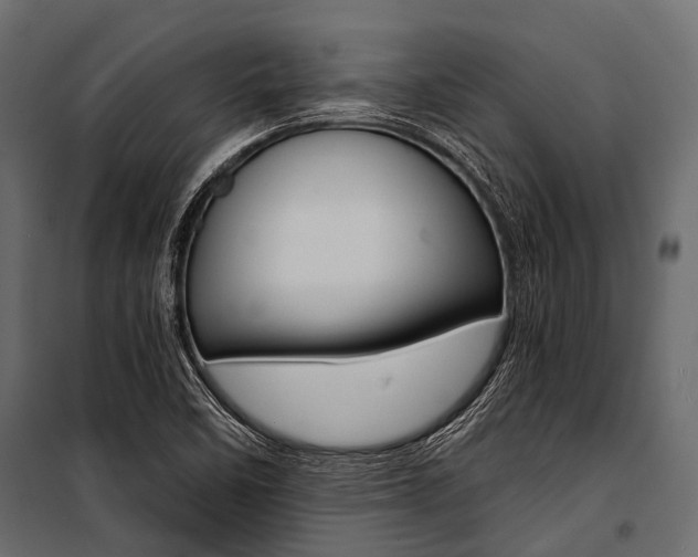 X0000100931458200806241126