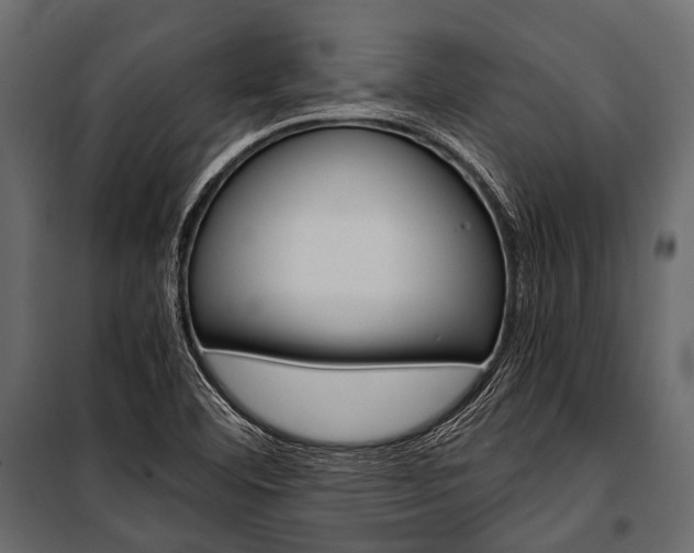 X0000100931460200806241126