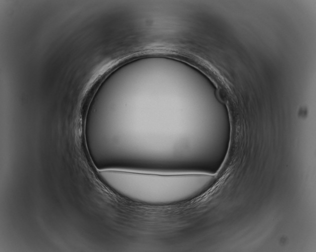 X0000100931461200806241126