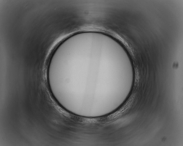 X0000100931462200806241126