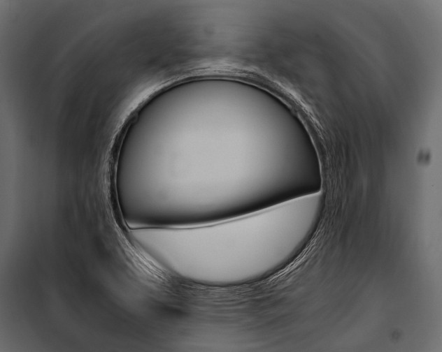X0000100931463200806241126