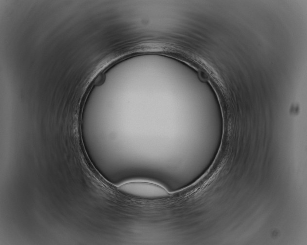 X0000100931465200806241126
