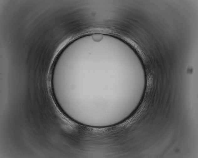X0000100931466200806241126