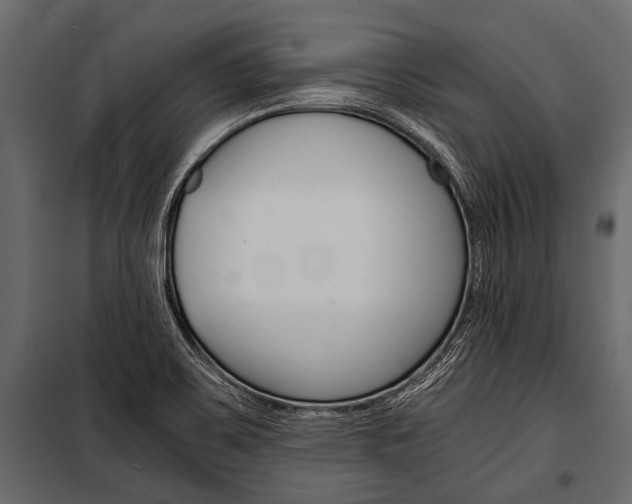 X0000100931467200806241126
