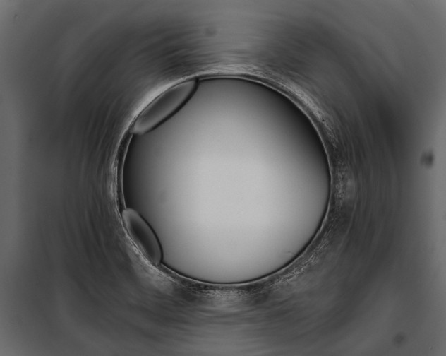 X0000100931468200806241126