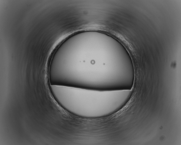X0000100931469200806241126
