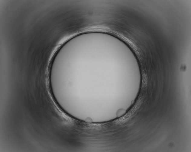 X0000100931470200806241126