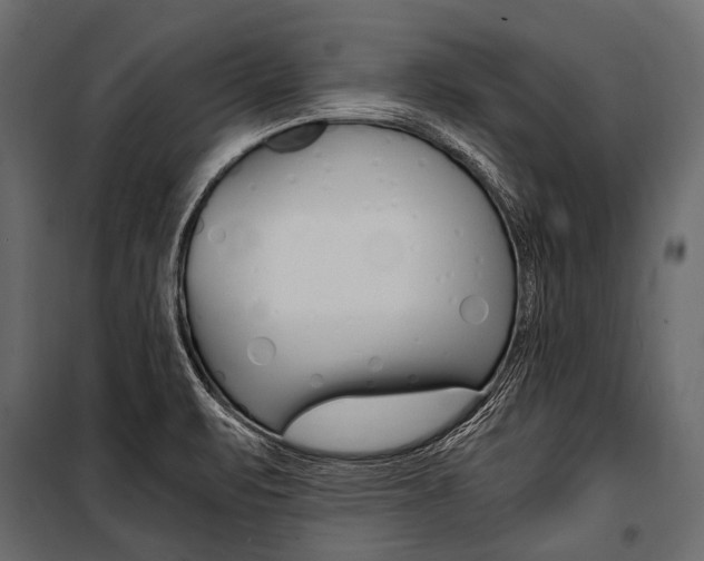 X0000100931471200806241126