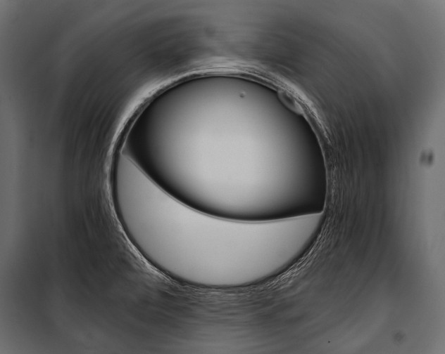 X0000100931472200806241126