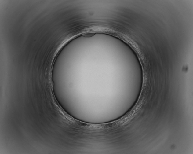 X0000100931473200806241126