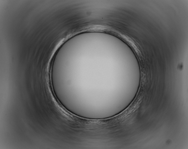 X0000100931475200806241126