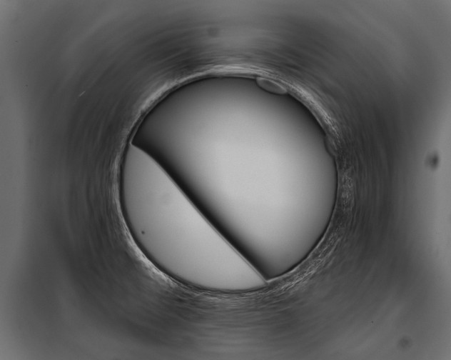 X0000100931476200806241126