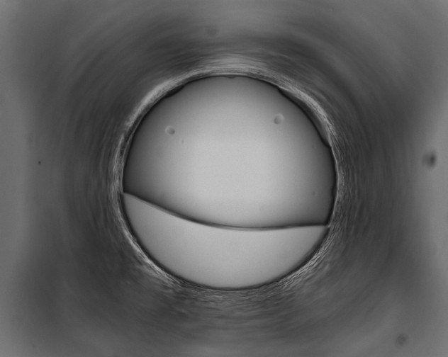 X0000100931477200806241126