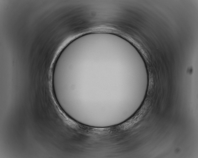 X0000100931478200806241126