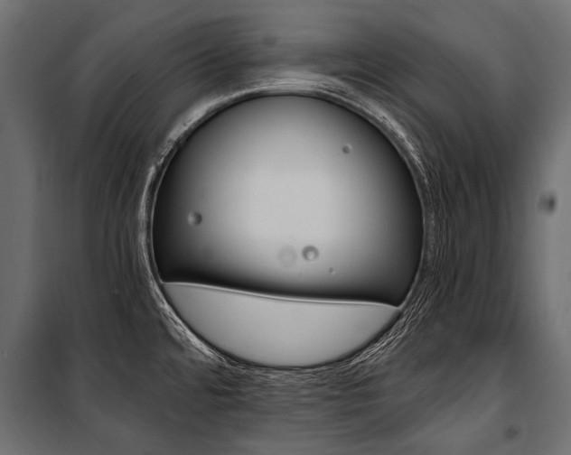 X0000100931480200806241126