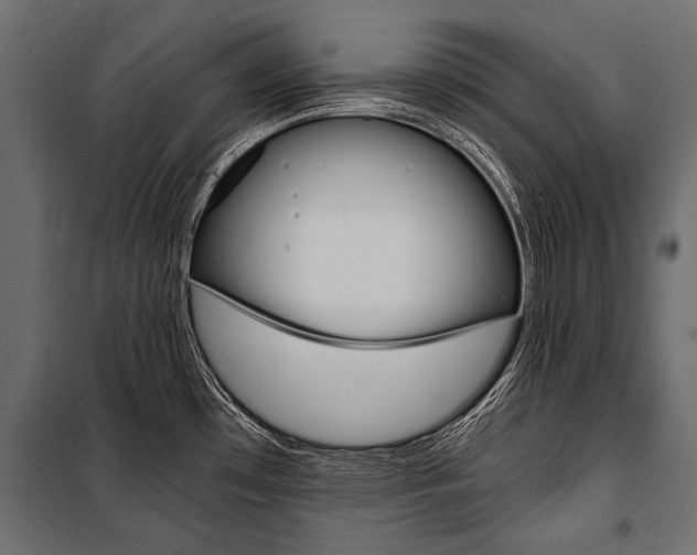 X0000100931481200806241125
