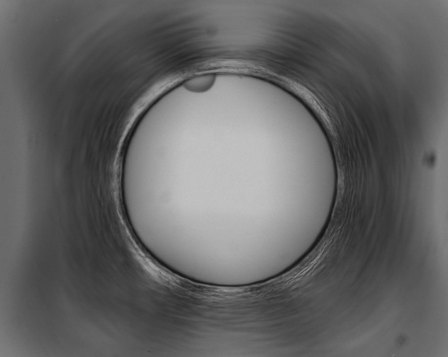 X0000100931482200806241125