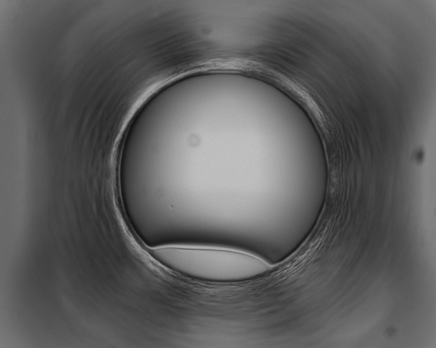 X0000100931483200806241125