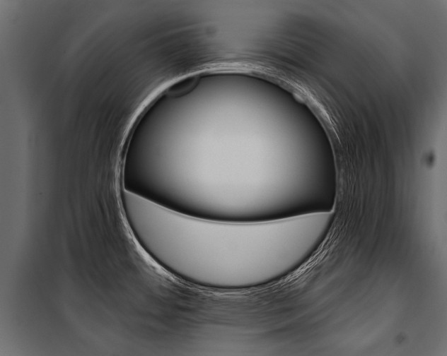 X0000100931484200806241125