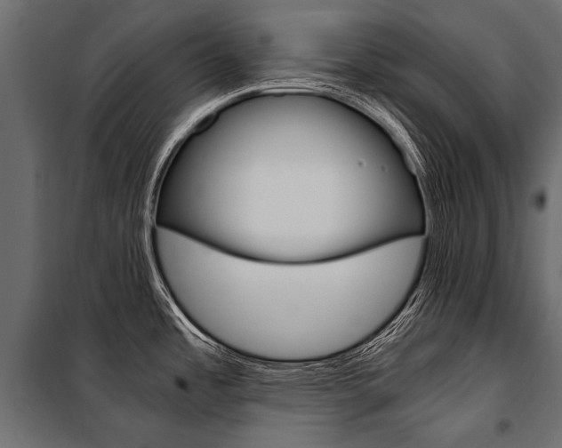 X0000100931485200806241125