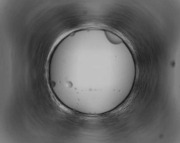 X0000100931486200806241125