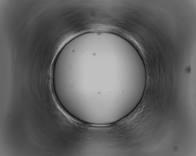 X0000100931487200806241125