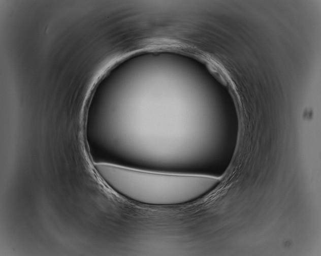 X0000100931488200806241125