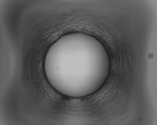 X0000100931489200806241125