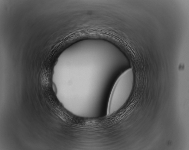 X0000100931490200806241125