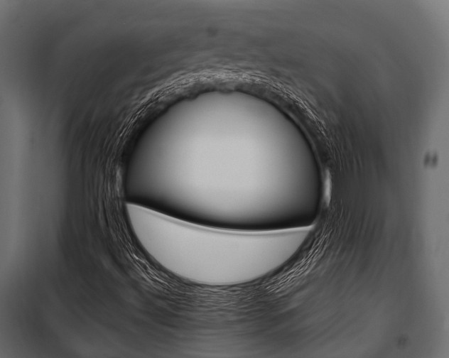 X0000100931492200806241125