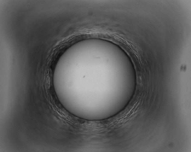 X0000100931493200806241125